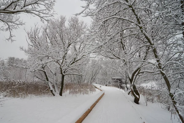 Prachtig winters tafereel in de buurt van de rivier Yauza — Stockfoto