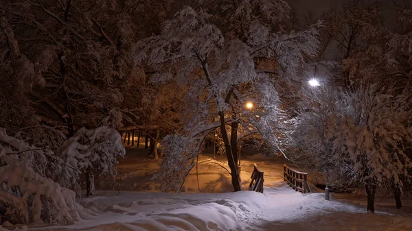 Piękne zimowa scena w parku — Zdjęcie stockowe