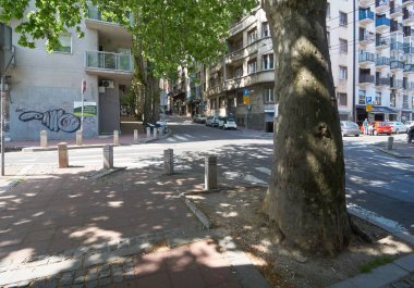 Belgrade, Sırbistan - 02 Mayıs 2018: içinde şehrin sokak üzerinde eski büyük ağaç gölgesi