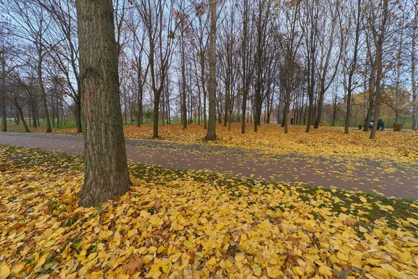 Autumn foliage in the park — Stock Photo, Image