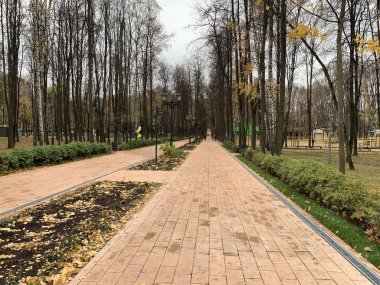 Moskova parkında yeni fayans