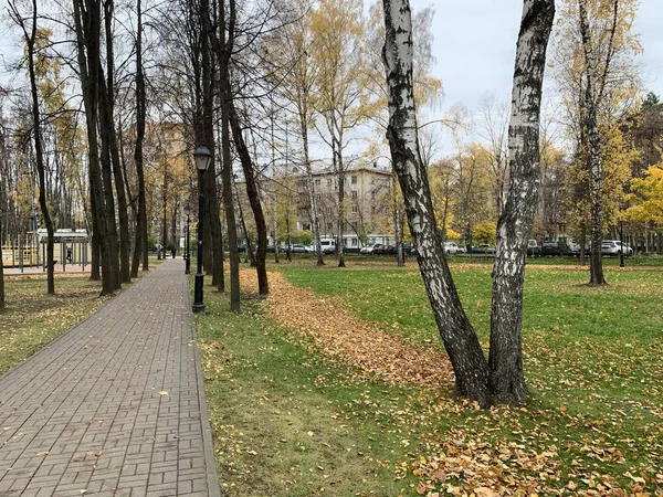 Nova telha no parque de Moscou — Fotografia de Stock