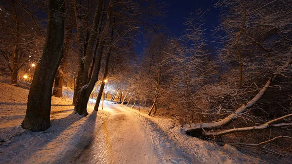 Mooie winter scène in het park — Stockfoto