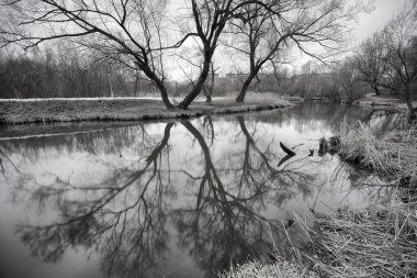 Moskova 'daki Yauza nehri üzerinde pürüzsüz yansıması olan ağaçların siyah beyaz görüntüsü