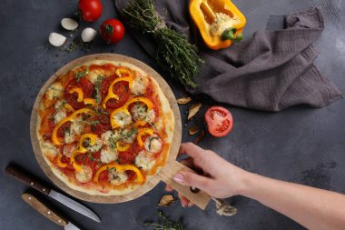 İtalyan mutfağı. Mozarellalı pizza, sarı biber, domates ve kekik gri arka planda tahta bir tahtada. Elleri olan sebzeli pizza. Taşralı. Arkaplan resmi, alanı kopyala