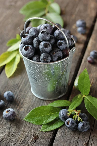 Harvest Gardening Blueberries Bucket Leaves Drops Water Old Wooden Background — Stock Photo, Image