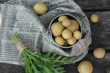 Bahçıvanlık ve tarım. Çiğ sebzeler: kovada taze patates, bir demet roka, bahçede eski ahşap bir arka planda otlar. Yaz, güneşli bir gün. Üst görünüm, düz görünüm