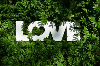 Aşk geçmişi. Aşk kelimesi yeşil çimlerde yatıyor. Duvar kağıtları, kartlar, davetiyeler ve posterler için güzel bir manzara. Aşk yeşili. Aşk geçmişi. Sevgililer Günü için kavram.