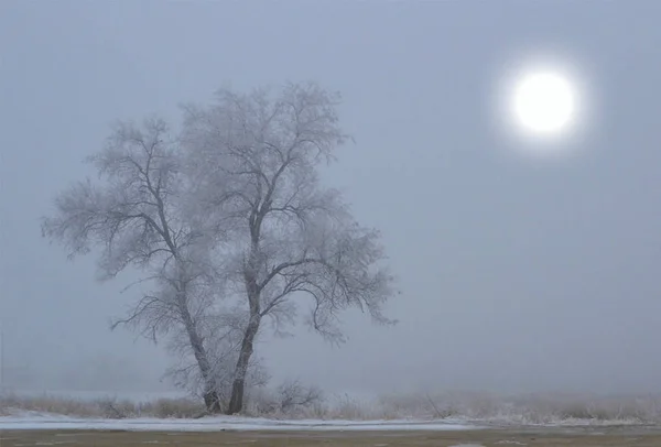 Winter, deserted rural landscape.