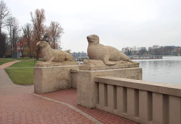 The sculpture made of artificial stone of a sea elephant was ins