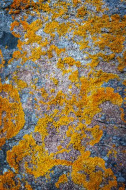 Arka plan anophyte taş