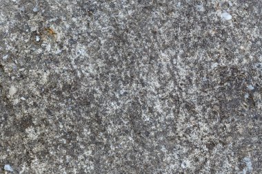 taş gri sıva, doku arka plan