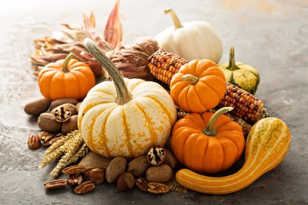 Fall copyspace with decorative pumpkins — Stock Photo, Image