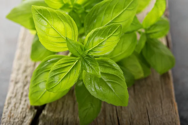 Albahaca verde fresca en una tabla de madera — Foto de Stock