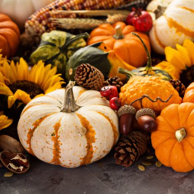 Pumpkins ile düşme arka plan