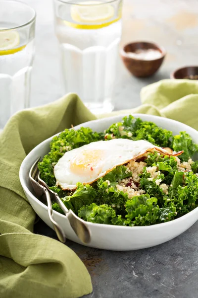 Свежий здоровый салат с капустой и лебедой — стоковое фото