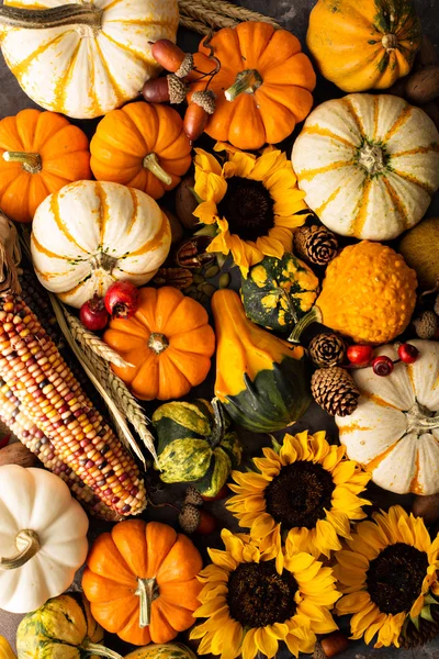 Herbst Hintergrund mit Kürbissen — Stockfoto