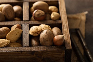 Çeşitli fındık kabuğu