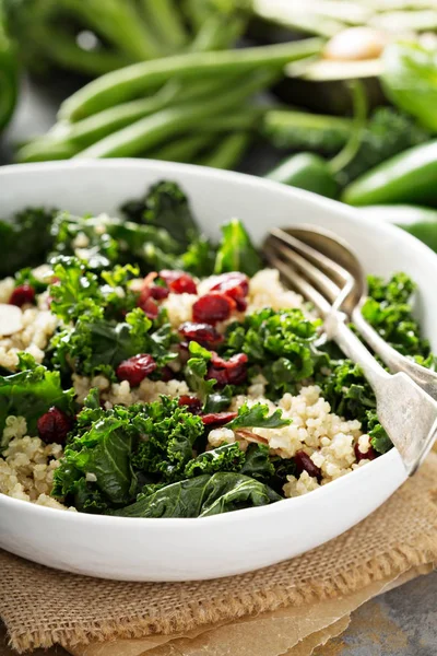 Friska grönkål och quinoa sallad — Stockfoto