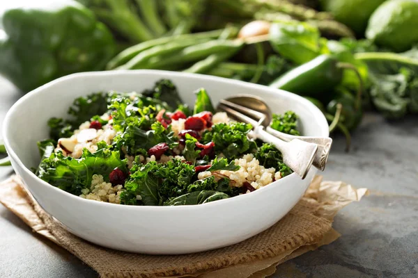 Healthy kale and quinoa salad — Stock Photo, Image