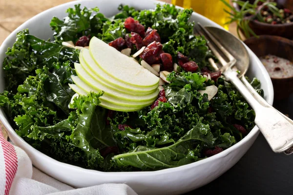 Grönkål sallad med torkade tranbär och äpple — Stockfoto