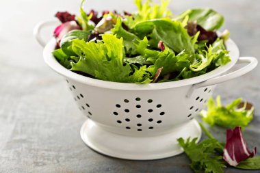 Bir collander bahar karışımı salata yaprakları