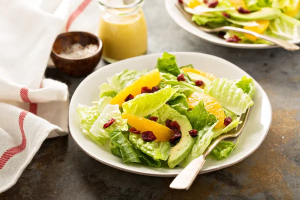 Frisse, kleurrijke salade met romaine en oranje — Stockfoto