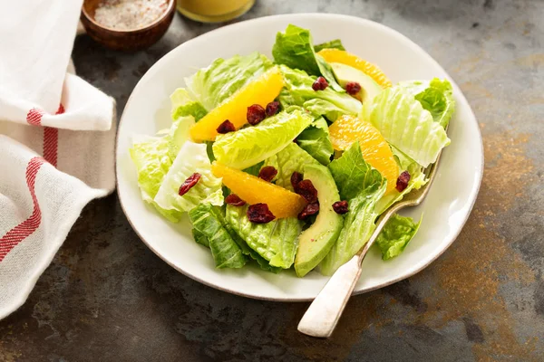 Frisse, kleurrijke salade met romaine en oranje — Stockfoto