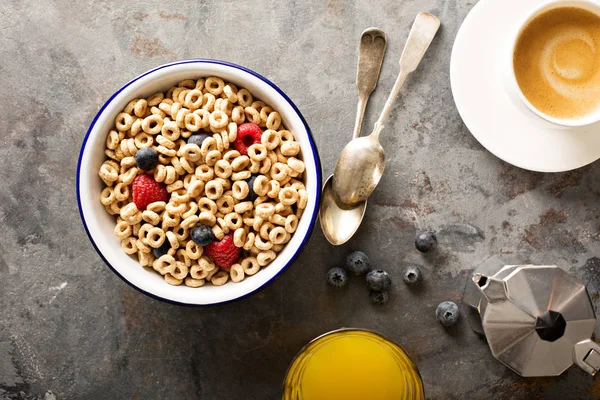 Cereales fríos saludables en un tazón — Foto de Stock