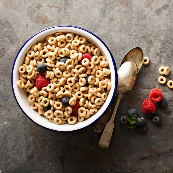 Cereali freddi sani in una ciotola — Foto Stock