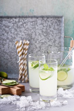 Uzun boylu gözlük salatalık limonata