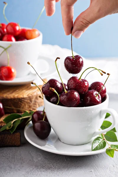 Cereza dulce roja fresca —  Fotos de Stock