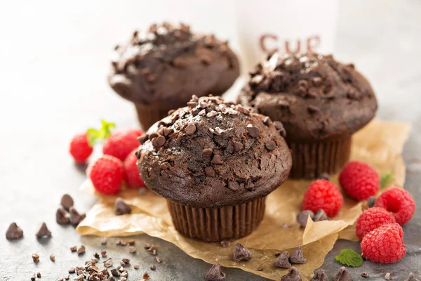 Dubbele chocolade muffins met frambozen — Stockfoto