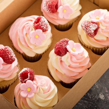 Pembe vanilya ve ahududu kek