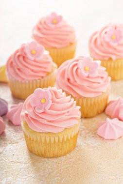 Pembe ahududu buzlanma ile vanilya cupcakes