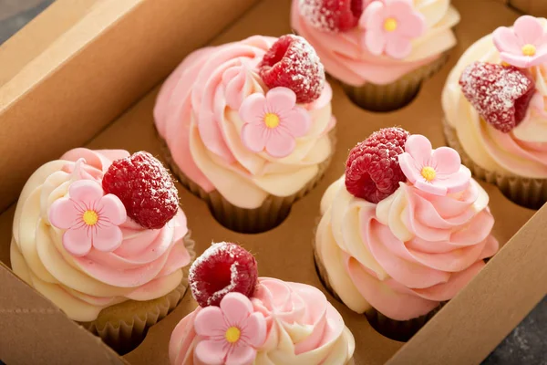 Cupcakes de baunilha e framboesa rosa — Fotografia de Stock