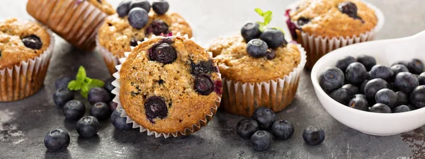 Vegan muz blueberry muffins — Stok fotoğraf