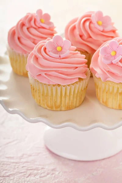 Vanilla cupcakes with pink raspberry frosting — Stock Photo, Image