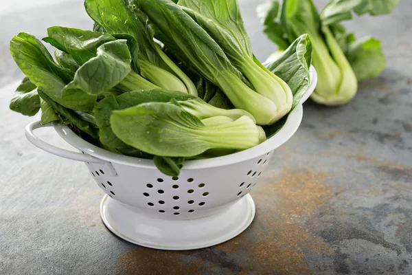 Świeże dziecko bok choy — Zdjęcie stockowe