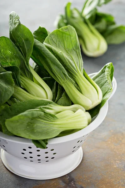 Färsk bebis bok choy — Stockfoto