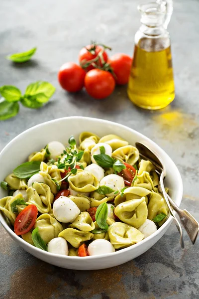 Salada de macarrão italiana com espinafre ricotta tortellini — Fotografia de Stock