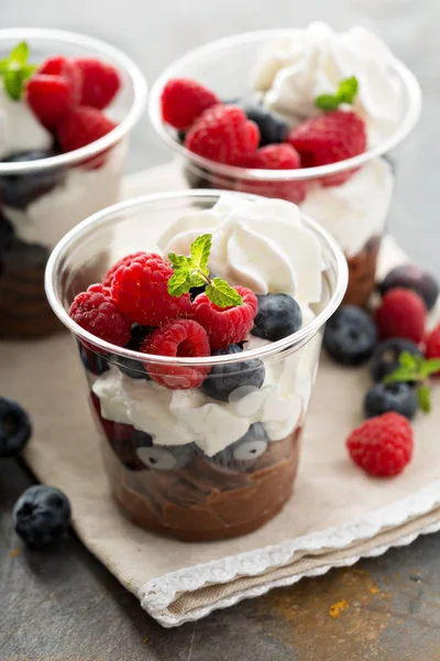 Шоколадный десерт со свежими ягодами — стоковое фото