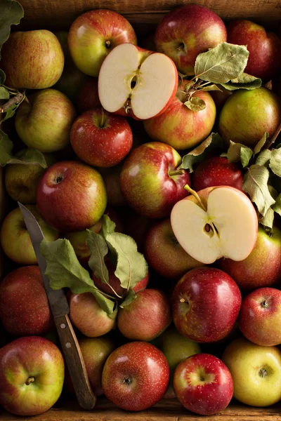 Taze elma bir ahşap sandık aldım