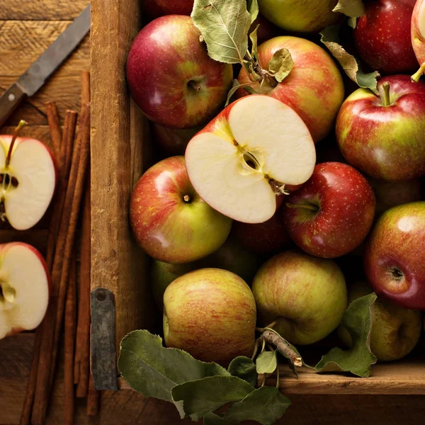 Свежесобранные яблоки в деревянном ящике — стоковое фото