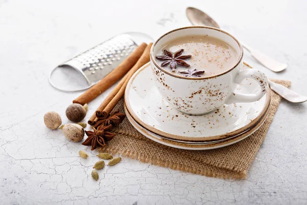 Warm chai tea with winter spices — Stock Photo, Image