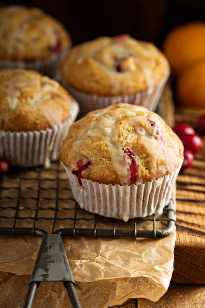 Orange and cranberry muffins Stock Image