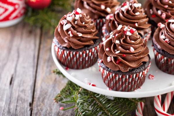 Chocolate peppermint cupcakes with candy cane — Stock Photo, Image