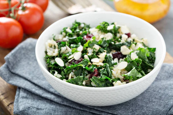 Warm kale salad with brown rice and cranberry — Stock Photo, Image