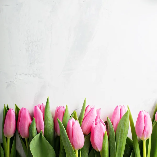 Rosa tulpaner på vit bakgrund — Stockfoto