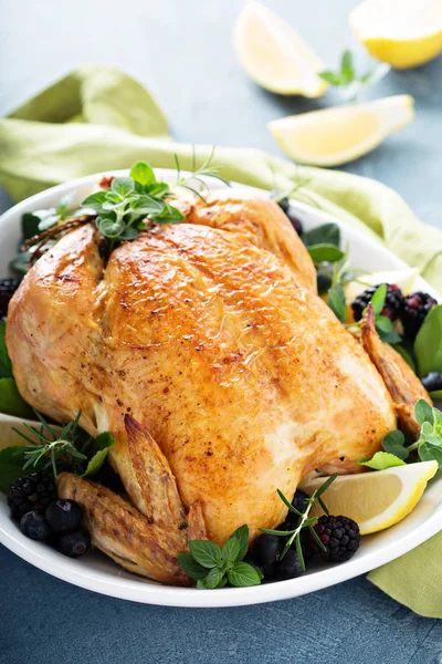 Pečené kuře za svátek nebo neděle večeře — Stock fotografie